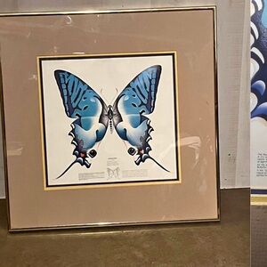 Blue Butterfly Wall Art by Unknown Brand
